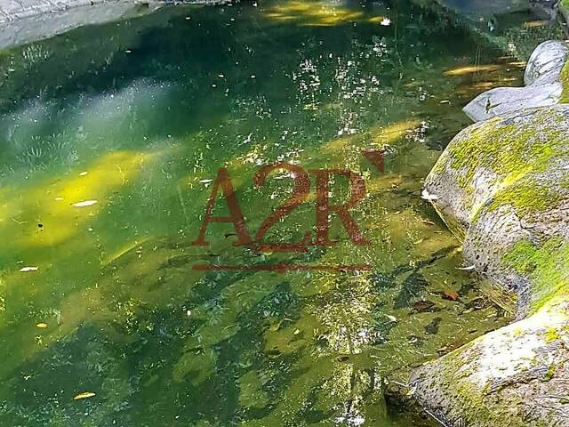 Locação em Parque das Palmeiras - Angra dos Reis