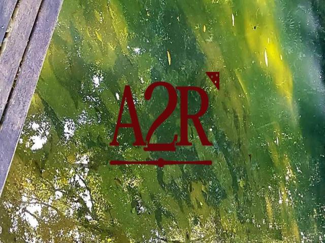 #210 - Casa para Locação em Angra dos Reis - RJ - 2